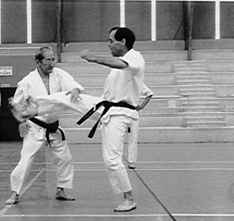 Planche : équivalence mae-geri