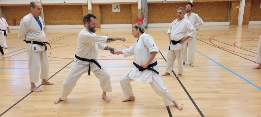 Travail à deux, stage KDS